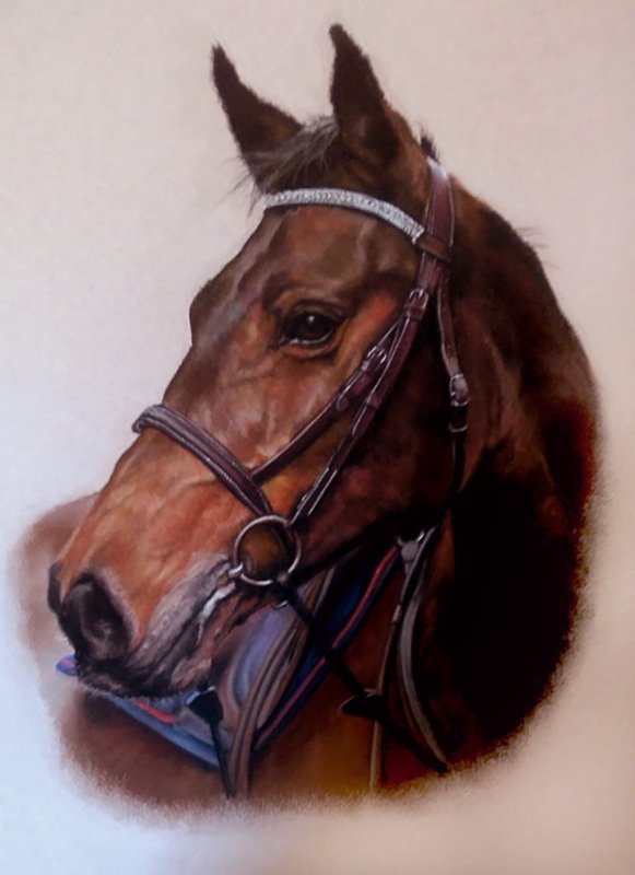 Bay horse portrait in pastel by UK pet artist Pippa Elton