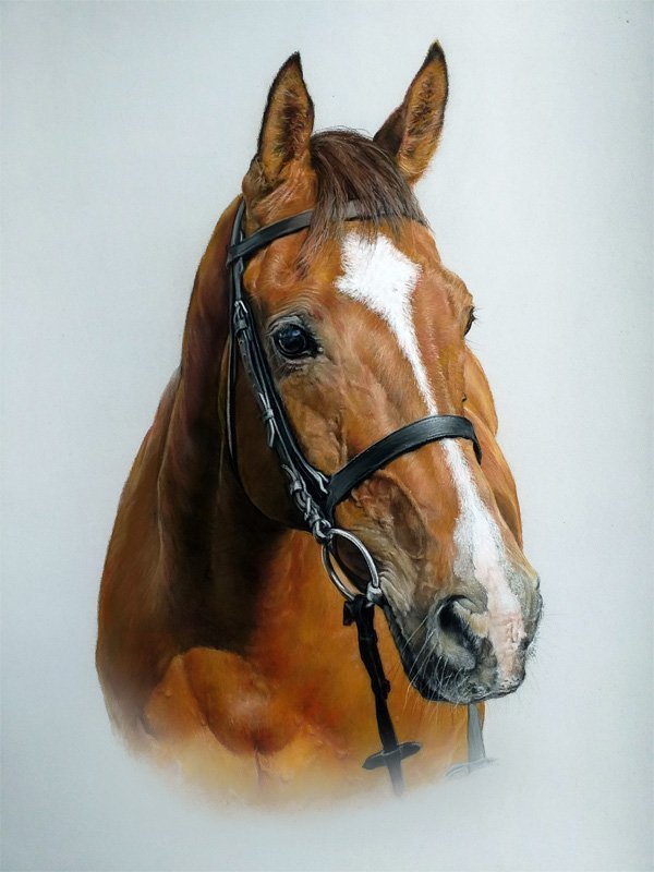 Bay horse portrait in pastel by UK pet artist Pippa Elton