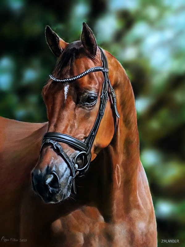 Chestnut horse portrait in landscape painted in pastels Bay horse portrait in landscape, painted in pastels by pet portrait artist Pippa Elton