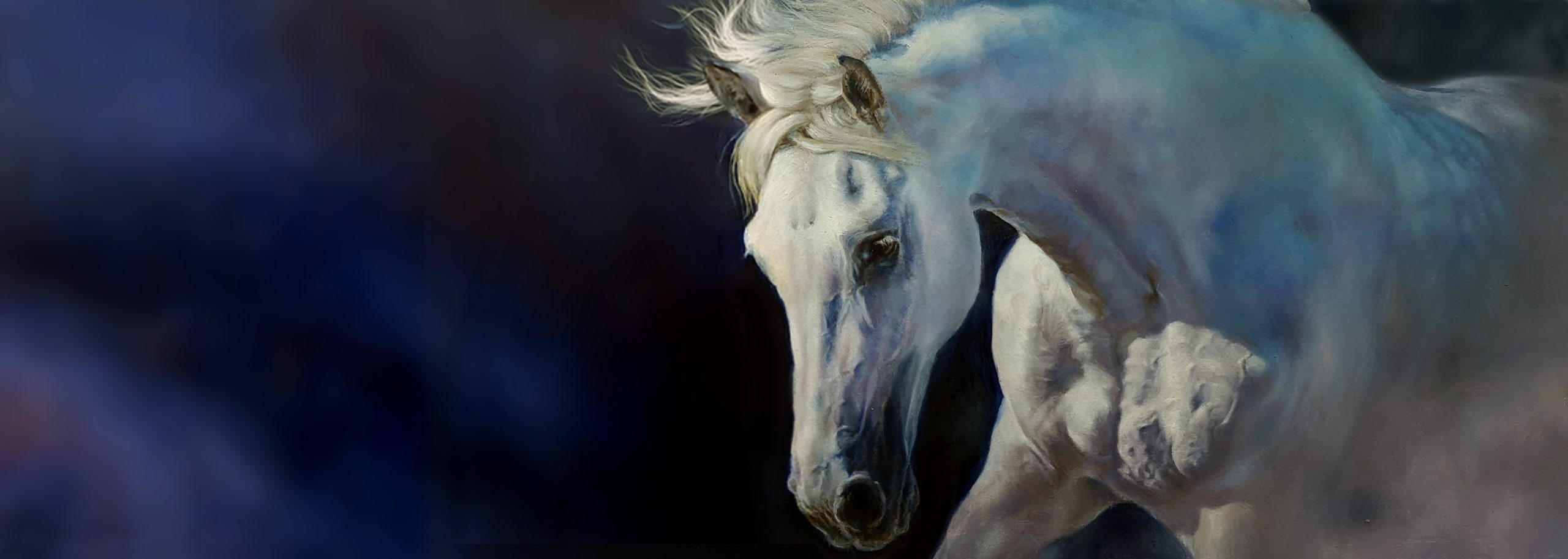 Grey horse portrait painted in oils by artist Pippa Elton