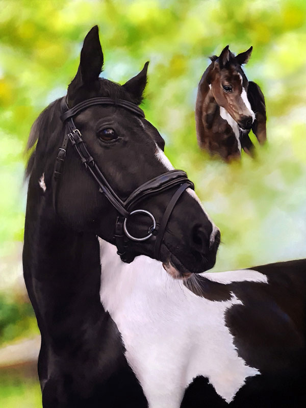 Grey horse portrait with rider competing at equestrian event, painted in pastels Portrait of a horse and foal painted in pastel by UK pet portrait artist Pippa Elton