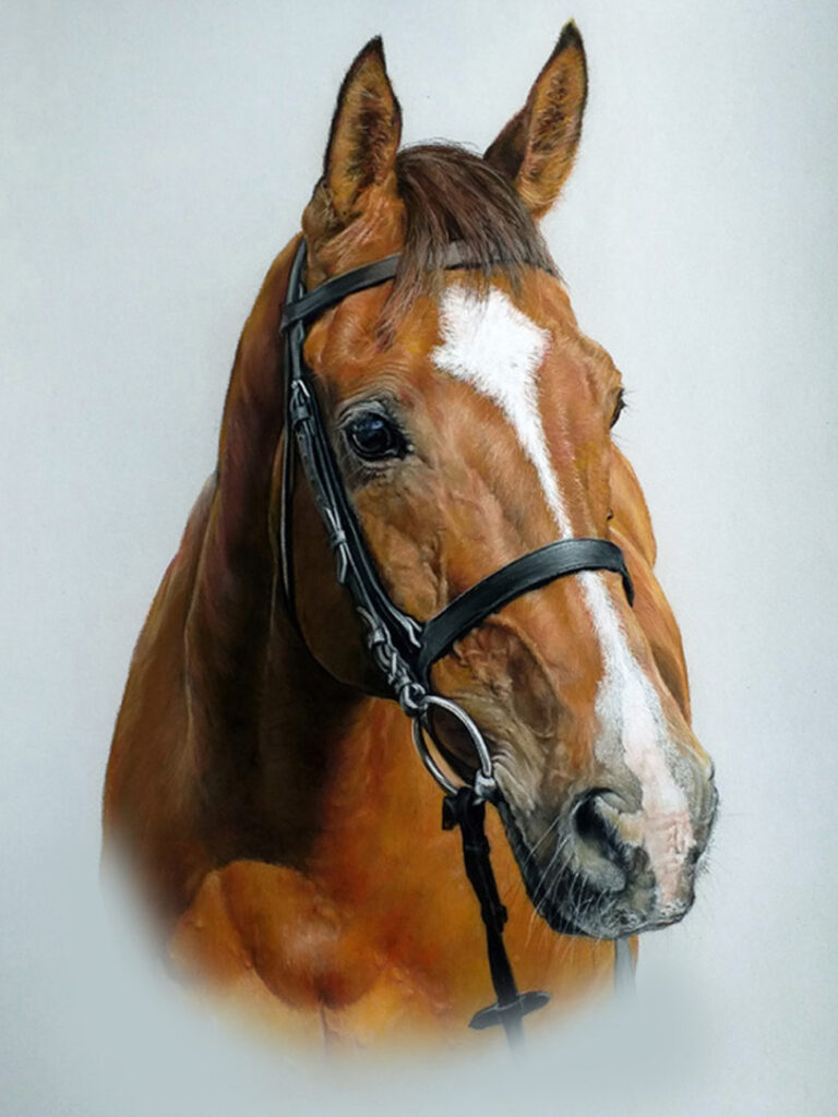 Portrait of a bay horse painted in pastel by UK pet portrait atist Pippa Elton