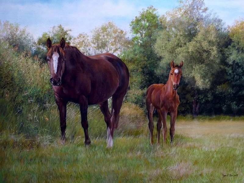 Horse and foal portrait in pastel by UK pet artist Pippa Elton