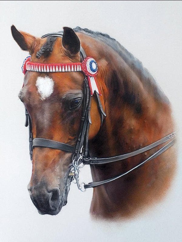 Bay horse portrait in pastel by UK pet artist Pippa Elton