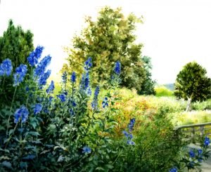 Garden painting in watercolour