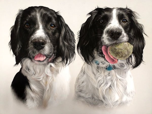 Portrait of spaniels in pastel painted by UK pet portrait artist Pippa Elton