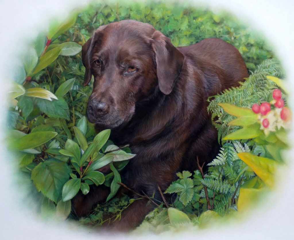 Portrait of chocolate brown labrador in pastel painted by UK pet portrait artist Pippa Elton