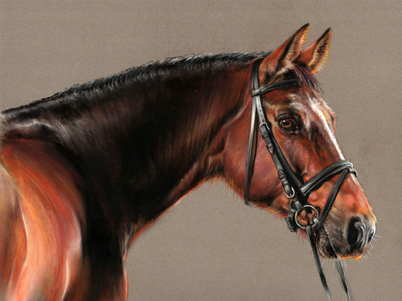 Bay horse portrait painted in pastel Bay horse commission a horse portrait painted in pastel by UK pet portrait artist Pippa Elton